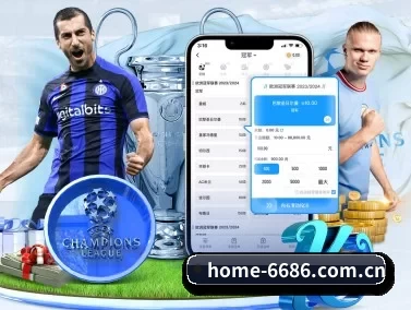 6686体育 APP