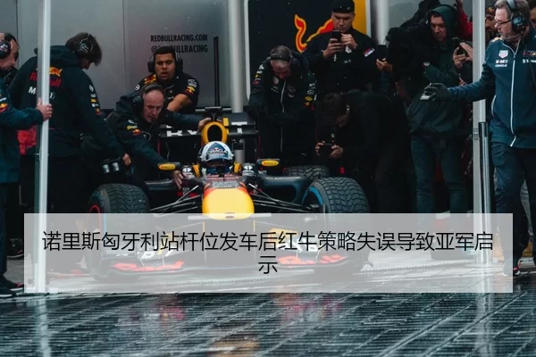 nuo-li-si-xiong-ya-li-zhan-gan-wei-fa-che-hou-hong-niu-ce-lve-shi-wu-dao-zhi-ya-jun-qi-shi-2-979.jpg